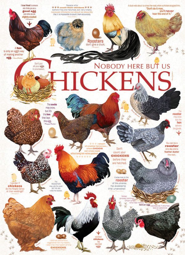 Cobble Hill / Outset Media Chicken Quotes 1000 Teile Puzzle Cobble-Hill-80120