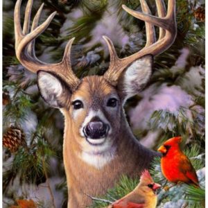 Cobble Hill / Outset Media XXL Teile - One Deer Two Cardinals 500 Teile Puzzle Cobble-Hill-85014