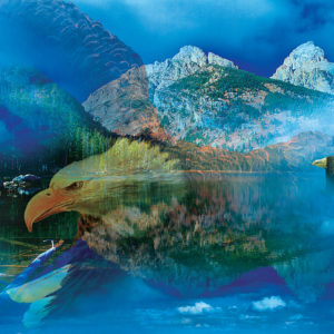 SunsOut Gordon Semmens - Eagle Dreamscape 550 Teile Puzzle Sunsout-50777